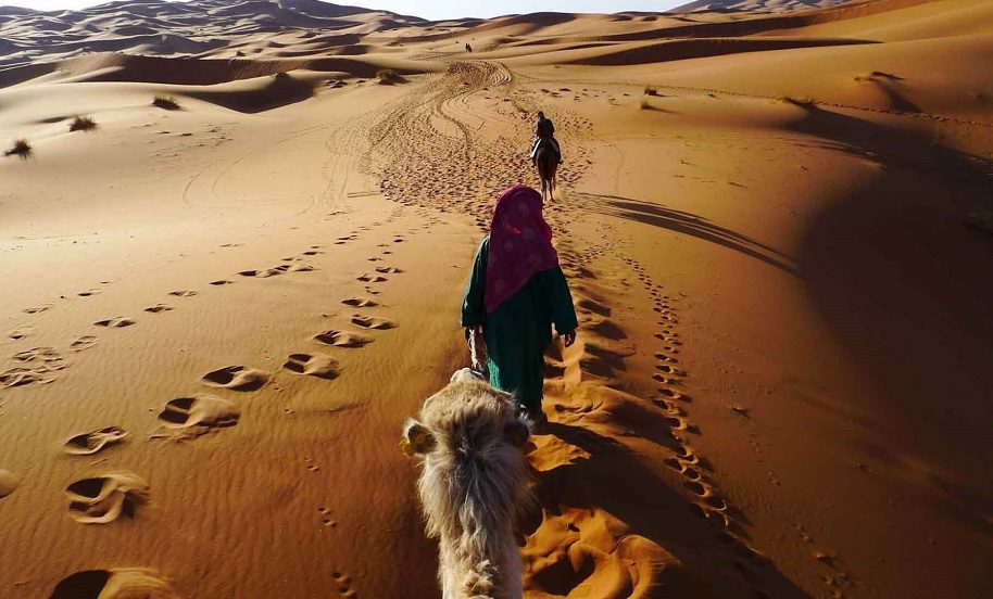 Easy Ways You Can Turn Desert Tour From Marrakech Into Success
